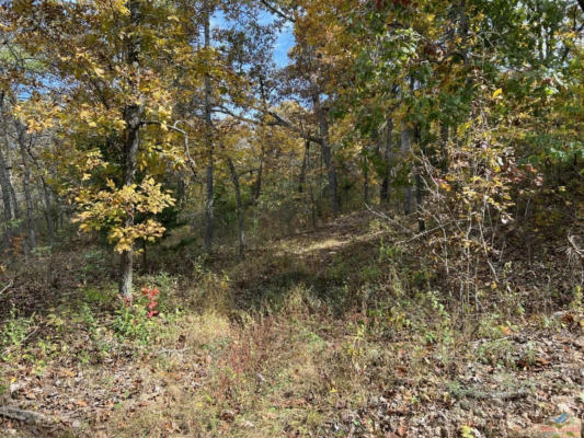 9.5 +/- AC WHITETAIL WAY, LINCOLN, MO 65338, photo 3 of 5