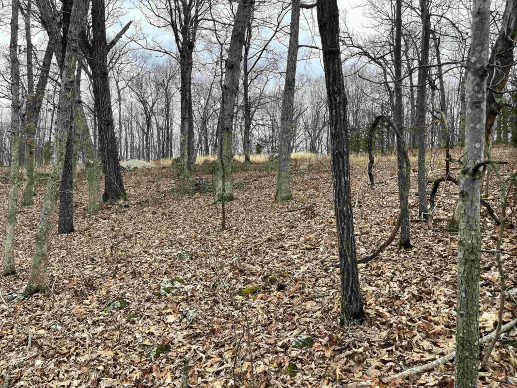 LOT 27 NORTHWOODS, LINCOLN, MO 65338, photo 1 of 4