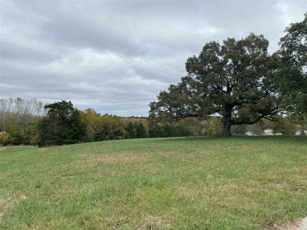LOT 7, 8 AND 50 ELM, WARSAW, MO 65355, photo 1 of 5